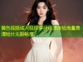 黄色视频成人视频平台极速体验海量高清短片无限畅享