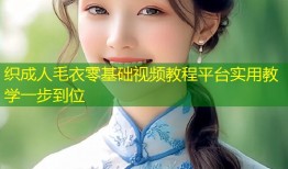 织成人毛衣零基础视频教程平台实用教学一步到位