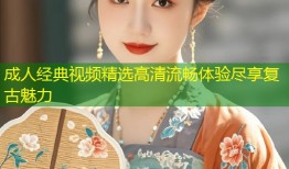 成人经典视频精选高清流畅体验尽享复古魅力